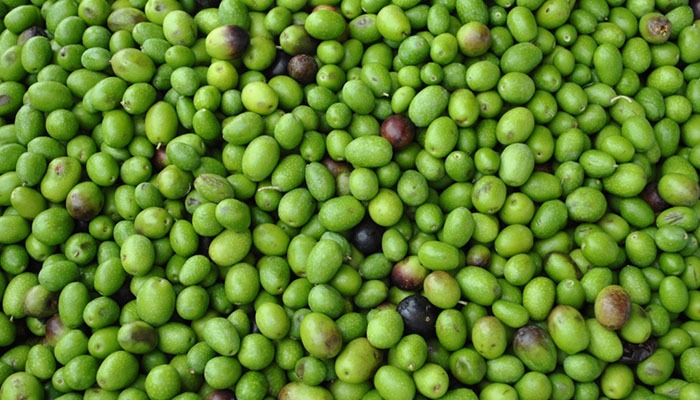 Olive verdi e nere