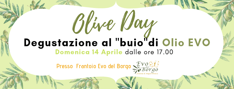 olive day - degustazione evo de borgo